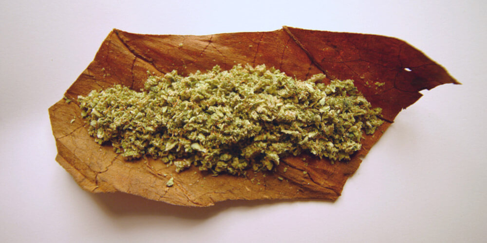 cannabis on an unrolled tobacco leaf