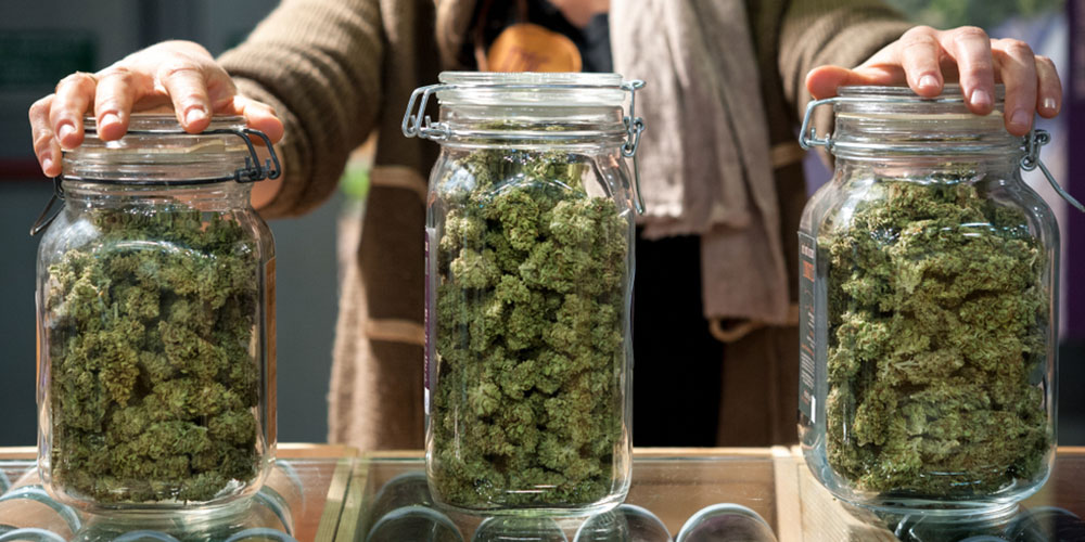 woman standing behind glass jars filled with marijuana