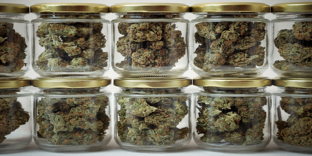 jars full of cannabis stacked on top of each other